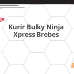 Kurir Bulky Ninja Xpress Brebes