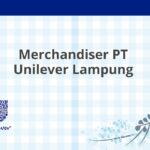 Merchandiser PT Unilever Lampung