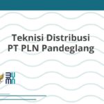 Teknisi Distribusi PT PLN Pandeglang