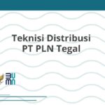 Teknisi Distribusi PT PLN Tegal