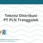 Teknisi Distribusi PT PLN Trenggalek