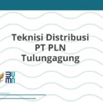 Teknisi Distribusi PT PLN Tulungagung