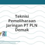 Teknisi Pemeliharaan Jaringan PT PLN Demak